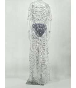 Tassel Sequins Sheered Dress -DivaLook Shop 200916091 3