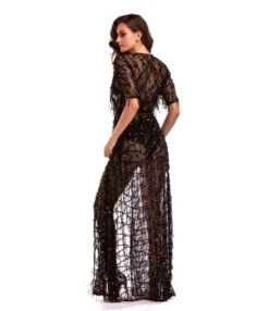 Tassel Sequins Sheered Dress -DivaLook Shop 200916091 6